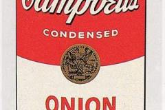 campbell-s-soup-can-onion