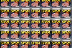 spam