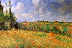 fields-1877