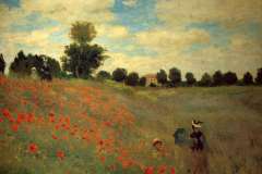 field-of-poppies