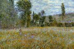 meadow