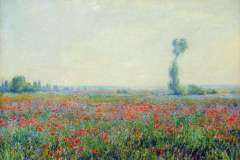 poppy-field-1