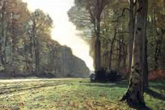 the-pave-de-chailly-in-the-forest