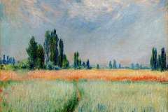 the-wheat-field