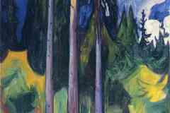 forest-1903