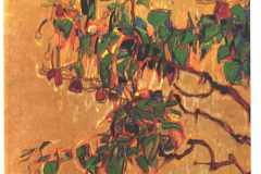 fuchsia-1910