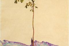 little-tree-chestnut-tree-at-lake-constance-1912