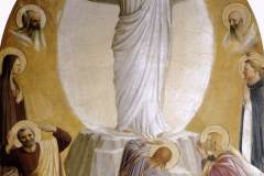 transfiguration-1442