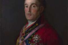 the-duke-of-wellington-1814