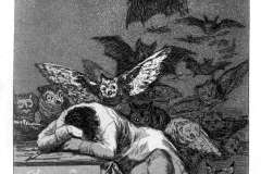 the-sleep-of-reason-produces-monsters-1799