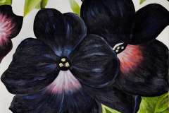 black-and-purple-petunias