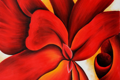 red-cannas-1