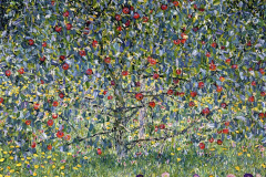 apple-tree-i