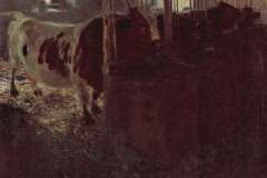 cows-in-the-barn-1901