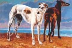 greyhounds-of-comte-de-choiseul-1866