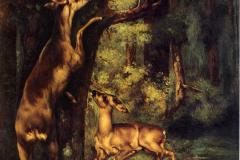 male-and-female-deer-in-the-woods-1864