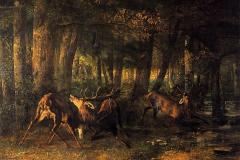 spring-stags-fighting-1861