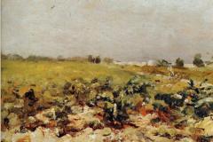 c-leyran-view-of-the-vignards-1880