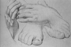 study-of-hands-and-feet-for-the-golden-age