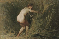 nymph-in-the-reeds