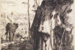 the-large-shepherdess