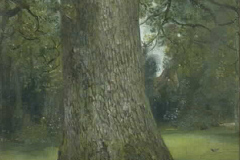 study-of-the-trunk-of-an-elm-tree-1821