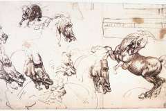 study-of-horses-for-the-battle-of-anghiari