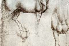 study-of-horses