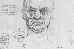 study-on-the-proportions-of-head-and-eyes