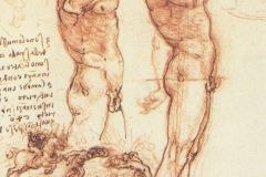 the-anatomy-of-a-male-nude-and-a-battle-scene