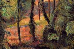 wooded-path-1884