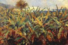 field-of-banana-trees-1881