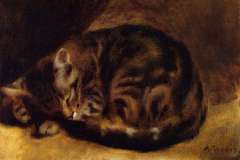 sleeping-cat-1862