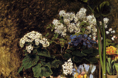 spring-flowers-1864