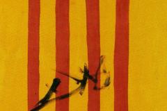 the-dalinian-senyera-catalonian-national-flag