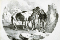 horses-of-the-auvergne-1822