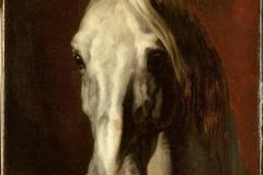 the-head-of-white-horse