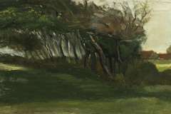 landscape-with-windswept-trees-1884