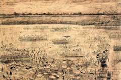 marsh-with-water-lillies-1881