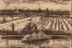 potato-field-1882