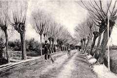 road-with-pollard-willows-and-man-with-broom-1881