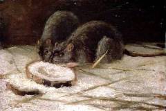 CH100768 Two Rats, c.1884 (oil on panel) by Gogh, Vincent van (1853-90)
oil on panel
29.1x41.3
Private Collection
© Christie's Images
Dutch, out of copyright