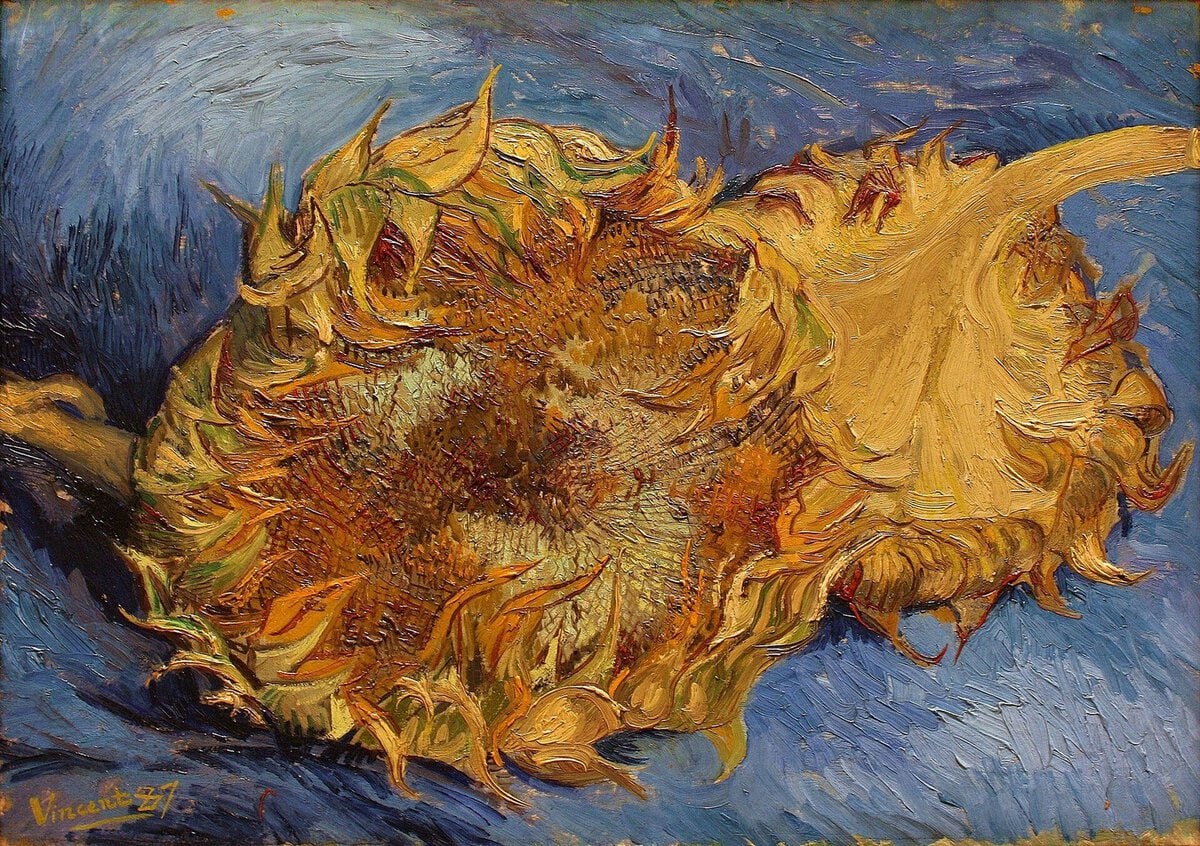 Van Gogh'un Paris'te yaptığı, masaya yatırılmış kesik ayçiçekleri tablosu