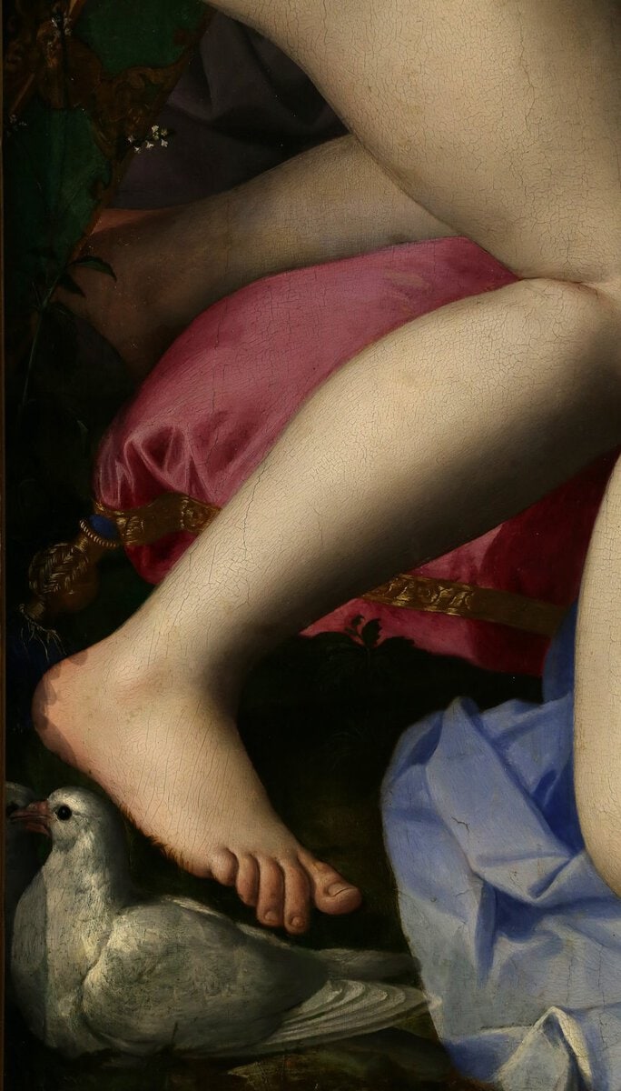 Bronzino'nun Venüs, Cupid, Delilik ve Zaman tablosundan ayrıntı