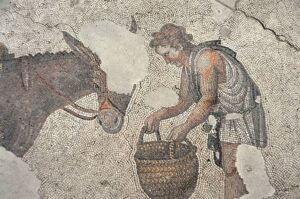 Büyük Saray Mozaikleri Müzesi