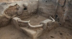 Çatalhöyük