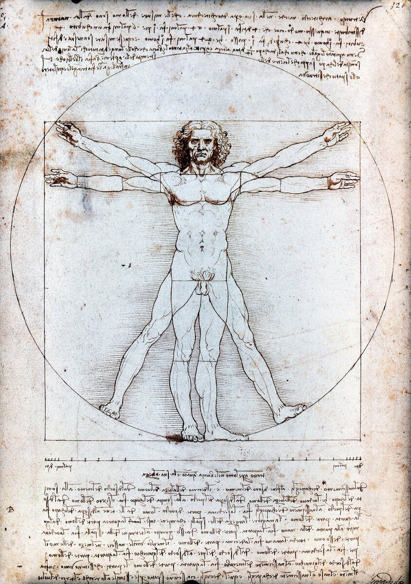 Leonardo'nun Vitruvius Adamı çizimi: daire ve kare içindeki insan figürü